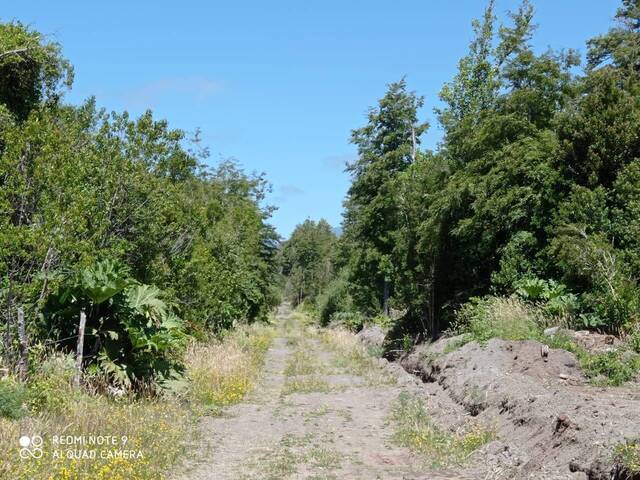 #4 - Área para Venta en Puerto Varas - X - 2