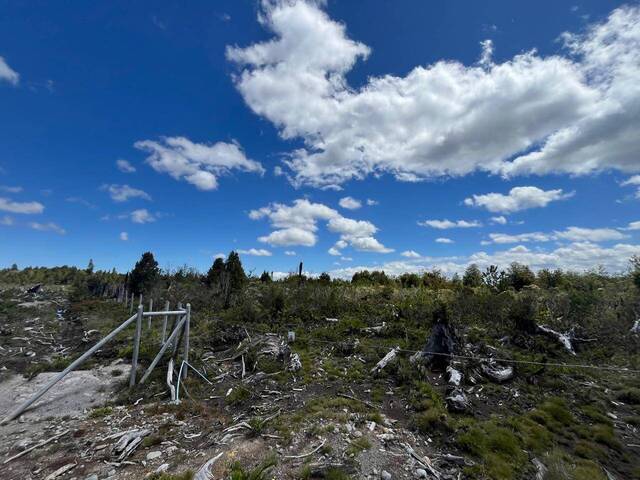 #22 - Terreno para construcción para Venta en Puerto Varas - X - 3