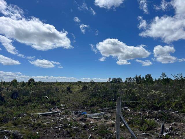#22 - Terreno para construcción para Venta en Puerto Varas - X - 1