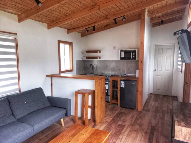 #43 - Departamento para Arriendo en Puerto Varas - X - 2