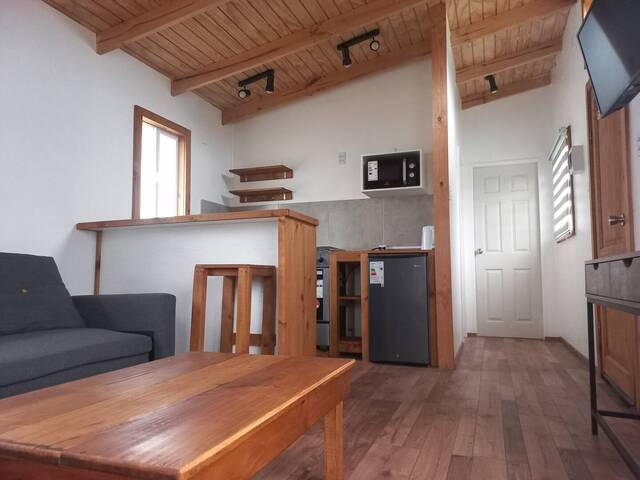 #43 - Departamento para Arriendo en Puerto Varas - X - 3